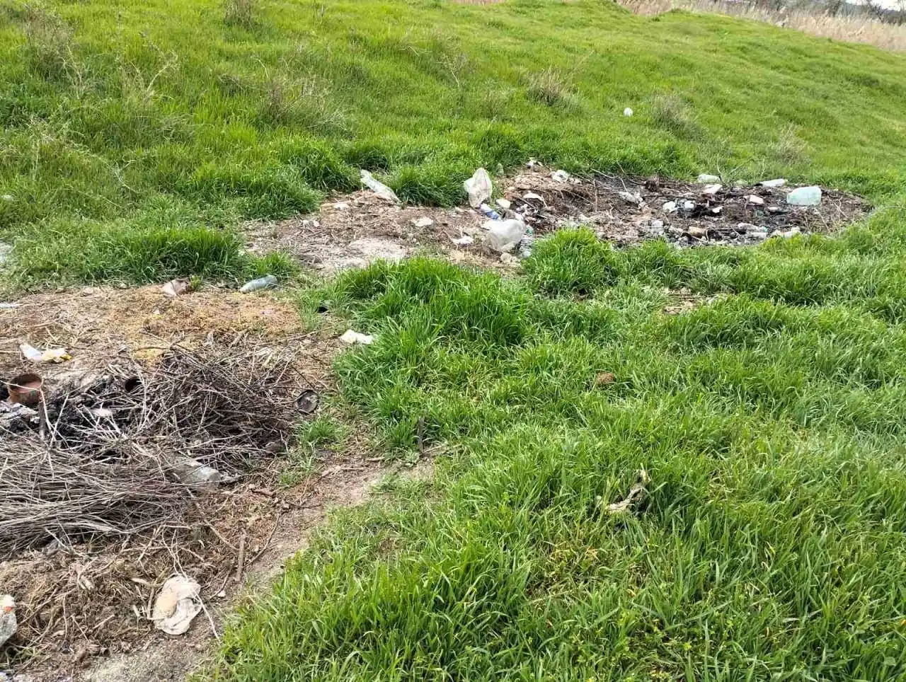У водоохоронній зоні Дністровського лиману екологи ліквідовують незаконні звалища відходів