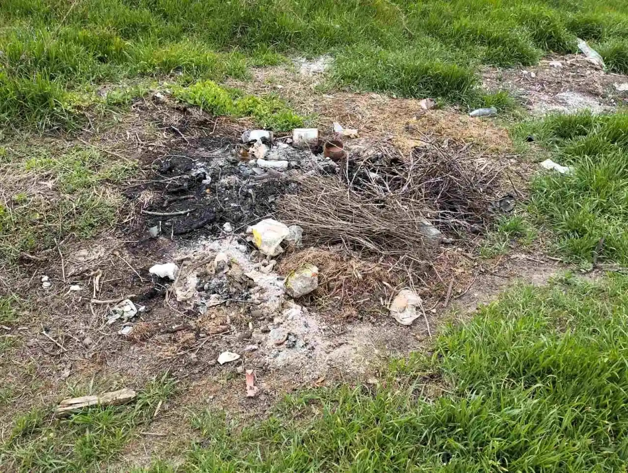 У водоохоронній зоні Дністровського лиману екологи ліквідовують незаконні звалища відходів
