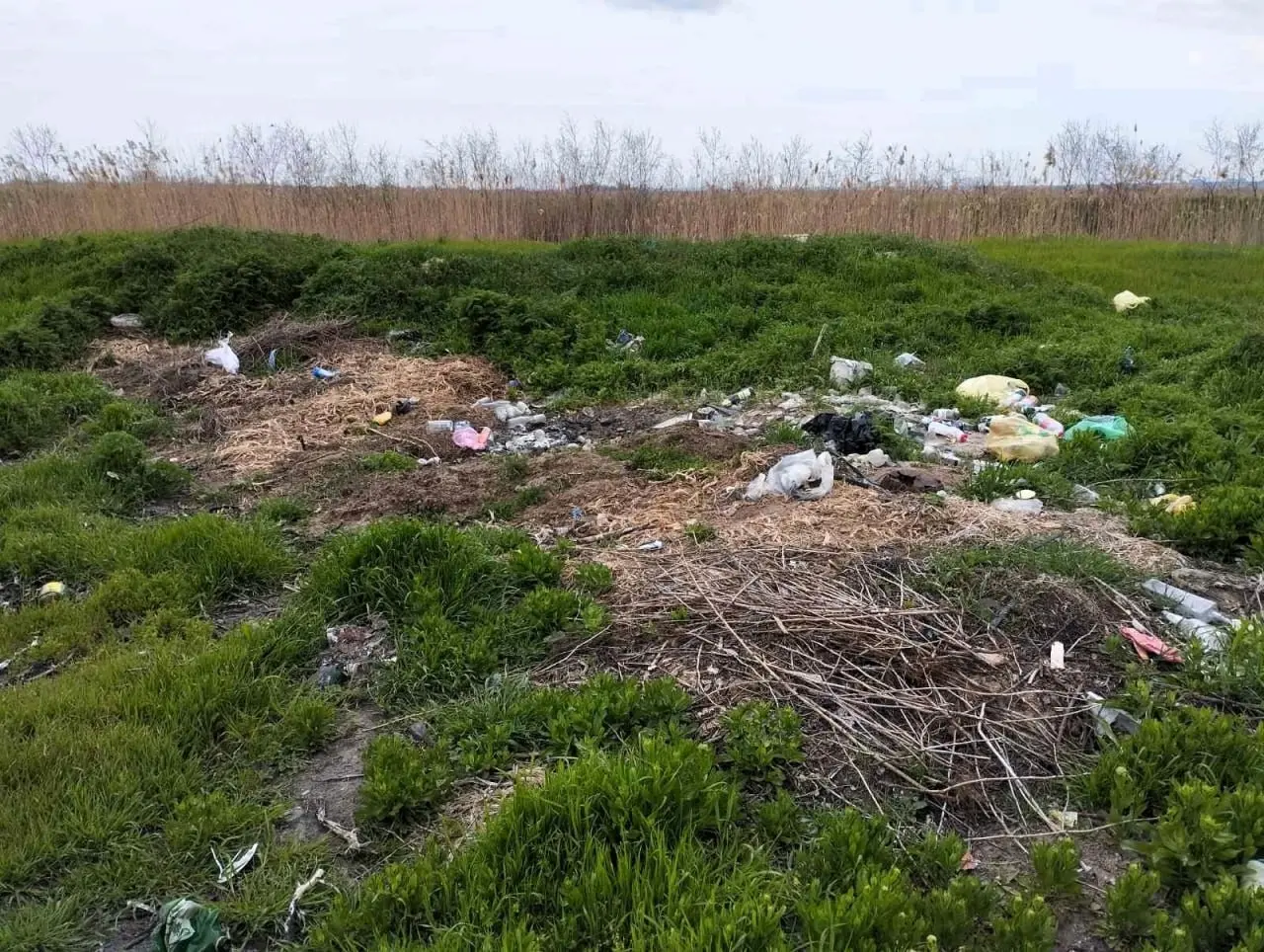 У водоохоронній зоні Дністровського лиману екологи ліквідовують незаконні звалища відходів